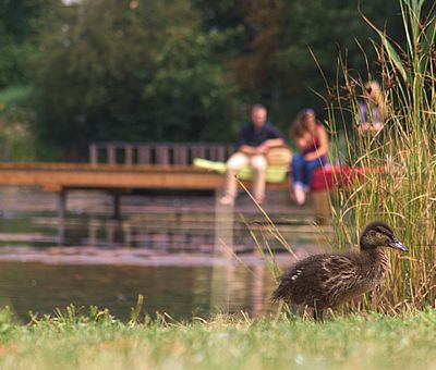 Personen sitzen auf einem Steg im Kurpark von Bad Laer